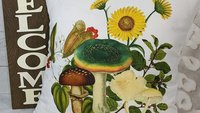 mushroom throw pillow for couch, toadstool decor, mushroomcore green academia mushroom kitchen towels, new apartment gift for her, nature