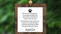 personalized in memory of dog ornament memorial gift for dog lover, sympathy gifts for loss of dog ornament wood, grief gift dog remembrance