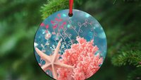 coastal Christmas ornaments for granddaughter, coral reef ornaments for girls, beach house hostess gift for women, housewarming gift set for
