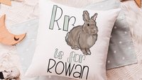 personalized S is for kids name pillow for nursery rocking chair pillows, swamp nursery decor, snail nursery accent pillow for bed, woodland