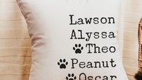 personalized family names throw pillow for couch, pet name pillow, unique wedding gifts for couple, cat parents gift, modern farmhouse decor