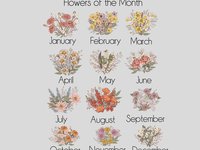 June Cottage Rose Birth Flower Pillow or Towel