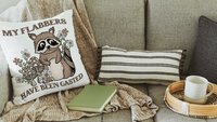 my flabbers have been gasted funny throw pillows for couch, cute but feral raccoon gift for women, college dorm decor for girls, snarky