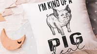 kind of a pig deal funny pig throw pillows for kids, encouraging classroom decor, whimsical pig gifts for girls, pig pillows for boys, farm