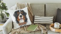 personalized Bernese mountain dog throw pillow cover 18 x 18, loss of dog memorial gift, remembrance dog pillow with name Berner mom and dad