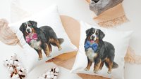 Bernese mountain dog throw pillows