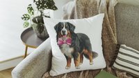 Bernese mountain dog throw pillows