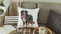Bernese mountain dog throw pillows