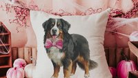 Bernese mountain dog throw pillows