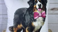 Bernese mountain dog throw pillows
