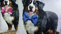 Bernese mountain dog throw pillows