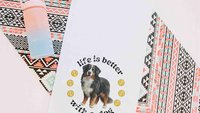 life is better with a dog tennis towels for women, tennis mom sweat towel with loop, unique dog mom gifts, best gifts for dog lovers, gym