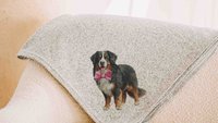 Bernese mountain dog blanket for dog lovers, girl berner mom dog mom gifts for women, pink bow bernese mountain dog gift for her, cozy throw