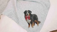 Bernese mountain dog blanket for dog lovers, girl berner mom dog mom gifts for women, pink bow bernese mountain dog gift for her, cozy throw