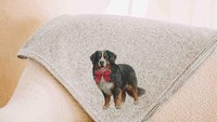 Bernese mountain dog blanket for dog lovers, girl berner mom dog mom gifts for women, pink bow bernese mountain dog gift for her, cozy throw