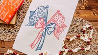 Sketch American flag pot holder & oven mitt