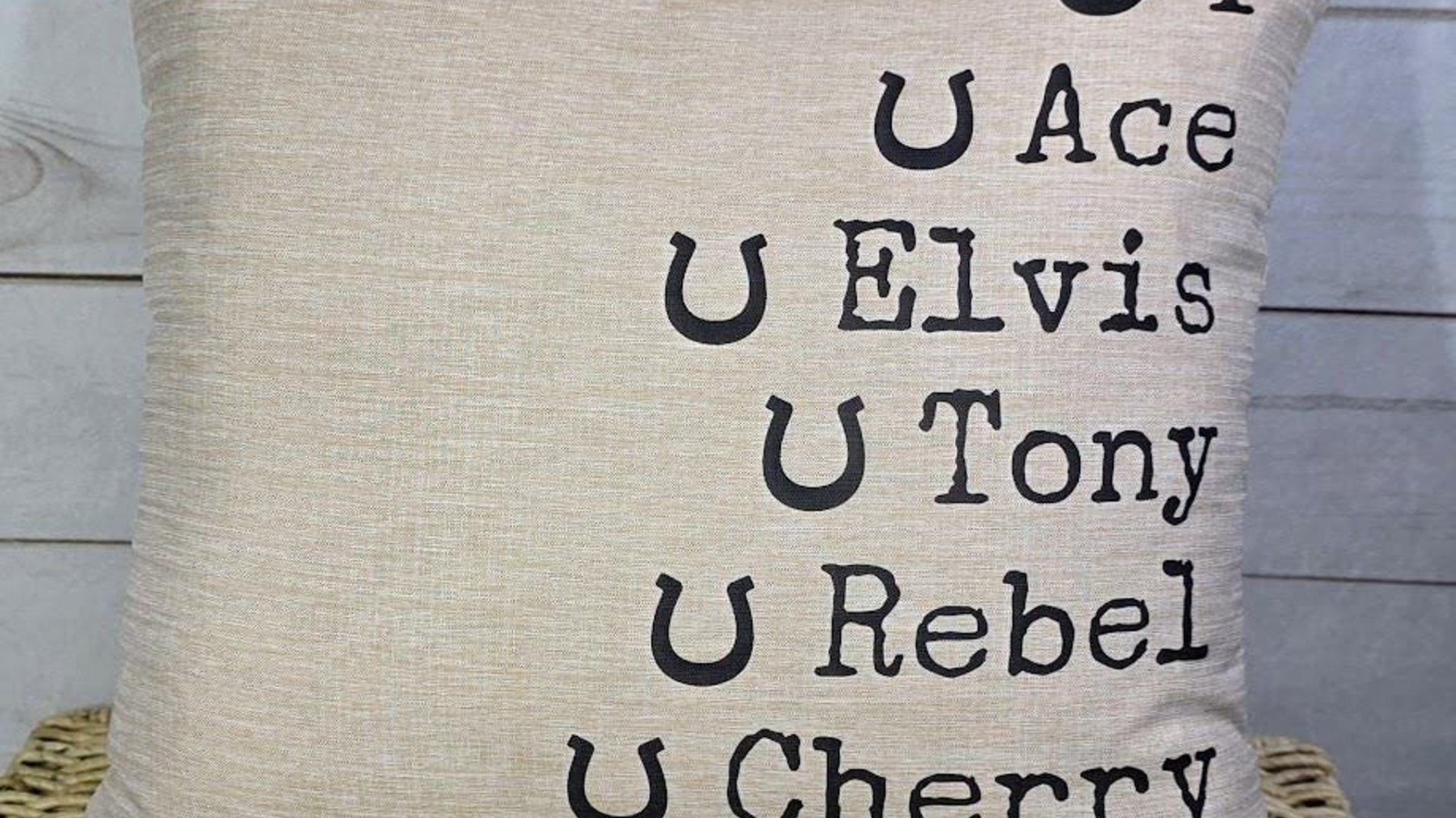 personalized family names throw pillow for couch, pet name pillow, unique wedding gifts for couple, dog parents gift, modern farmhouse decor