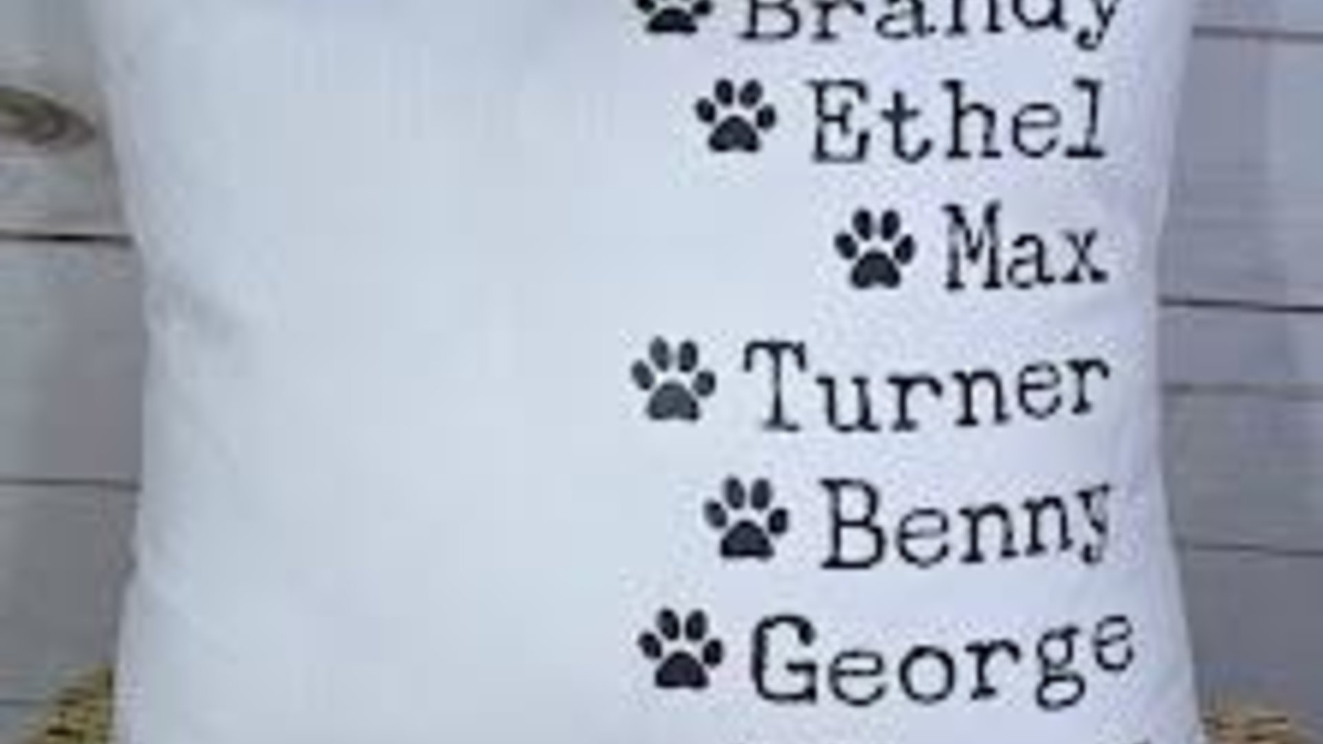 personalized family names throw pillow for bed, pet name pillow, unique anniversary gift for couple, dog parent gift, modern farmhouse decor