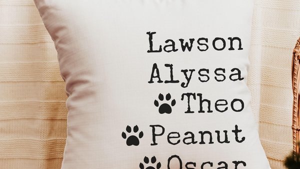 personalized family names throw pillow for couch, pet name pillow, unique wedding gifts for couple, cat parents gift, modern farmhouse decor