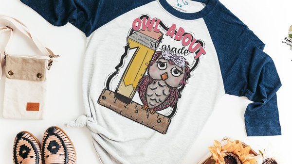back to school gift for teachers, owl about 1st grade shirt, owl about 2nd grade tee, first day of school shirt for teacher, third grade owl